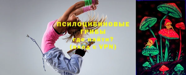 индика Абаза