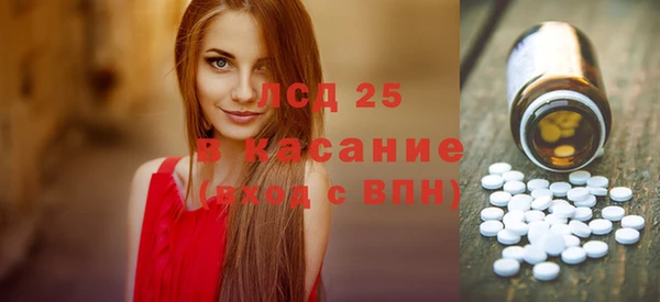 индика Абаза