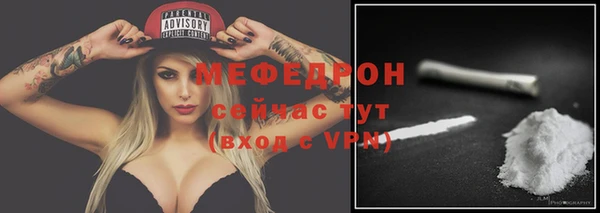 индика Абаза