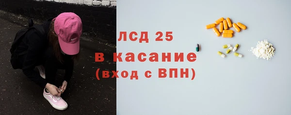 индика Абаза