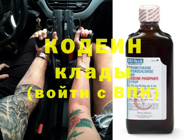 индика Абаза