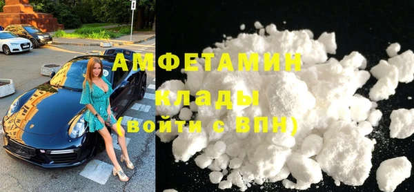 индика Абаза