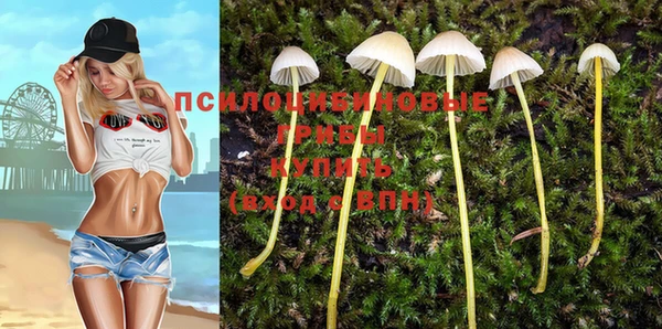 эйфоретик Абинск
