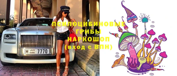 ПСИЛОЦИБИНОВЫЕ ГРИБЫ Пересвет