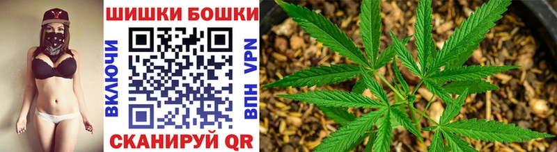 Шишки марихуана планчик  купить наркотики сайты  mega онион  Уржум 